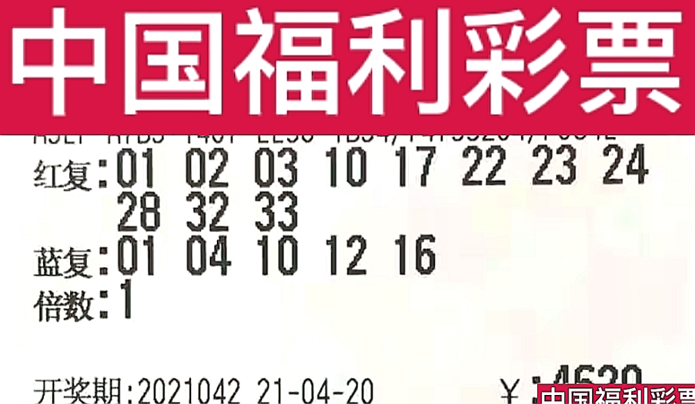新奧門(mén)今晚開(kāi)獎(jiǎng)結(jié)果查詢(xún)第243期，全面解析與預(yù)測(cè)，新奧門(mén)第243期開(kāi)獎(jiǎng)結(jié)果解析與預(yù)測(cè)，今晚開(kāi)獎(jiǎng)揭秘
