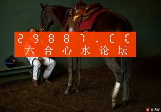 一肖一馬王中王一馬中特，深度解析與SEO優(yōu)化策略，一肖一馬王中王深度解析與SEO優(yōu)化策略探討