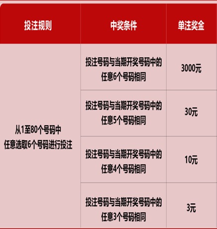 彩票背后的秘密 第13頁(yè)