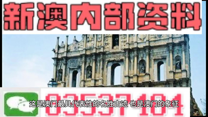 新澳門正版資料，探索與解析，澳門正版資料深度解析與探索