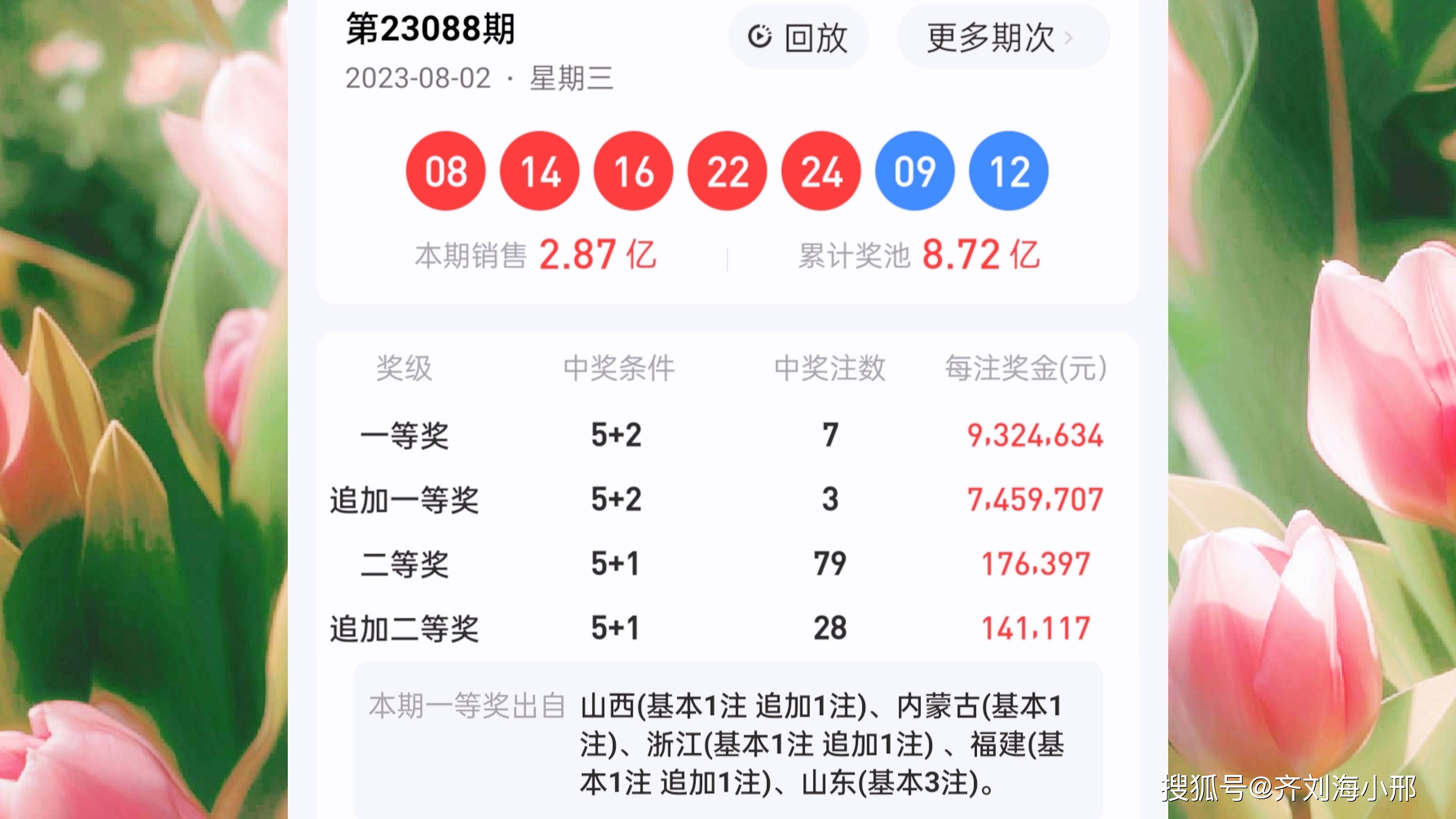 最新開獎結(jié)果揭曉，王中王與一肖中的幸運時刻，王中王與一肖中幸運時刻揭曉，最新開獎結(jié)果出爐