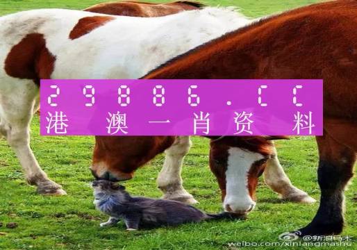 新奧門一肖一碼，揭秘精準預(yù)測的秘密，揭秘新澳門一肖一碼精準預(yù)測的秘密