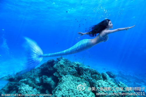 澳門美人魚最快開獎結(jié)果圖——揭秘?zé)衢T彩票游戲背后的秘密，澳門美人魚彩票開獎揭秘，最新結(jié)果圖與游戲背后秘密探索