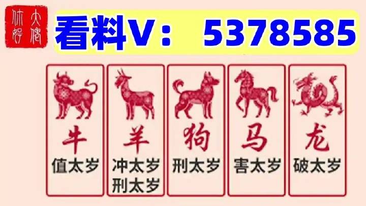 澳門馬站最快開獎結(jié)果，探索與解析，澳門馬站最新開獎結(jié)果解析