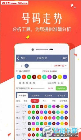 王中王四肖選一，揭秘選擇與優(yōu)化策略，王中王四肖選一，選擇與優(yōu)化策略的揭秘