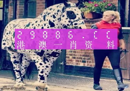 澳彩平肖王中王，一笑一碼的秘密與SEO優(yōu)化策略，澳彩平肖王中王，揭秘一笑一碼背后的SEO優(yōu)化策略