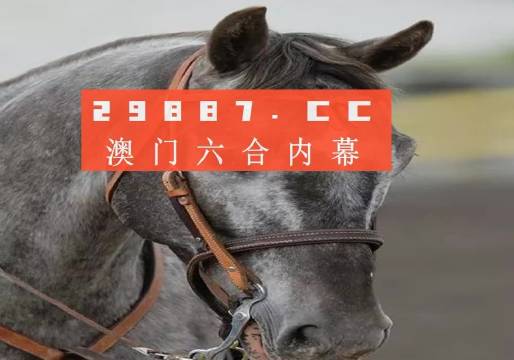 澳門一一碼一特一中準選今晚，探索真實有效的選擇與策略，澳門今晚一特一中準選碼，真實有效的選擇與策略探索