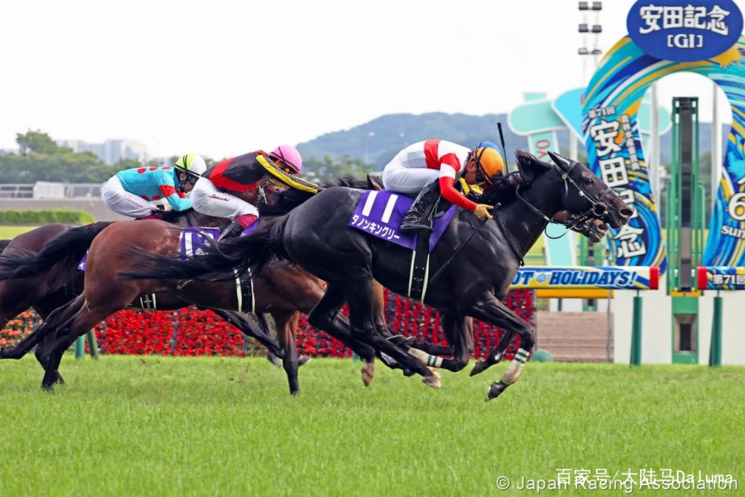 香港王中王與一馬中特肖的獨特魅力，深度解析與探索，香港王中王與一馬中特肖的獨特魅力，深度探索與解析