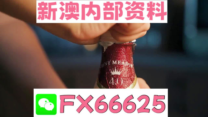 新澳門一碼一碼，揭秘精準預測的秘密與真相，揭秘澳門一碼一碼精準預測的秘密與真相