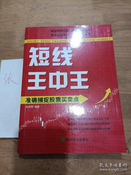 王中王平特一肖秀家網(wǎng)，深度解析與SEO優(yōu)化策略，王中王平特一肖秀家網(wǎng)，深度解析與SEO優(yōu)化策略指南