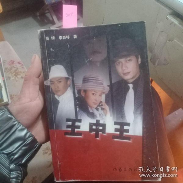 王中王資料一肖中天，深度解析與探索，王中王資料一肖中天，深度剖析與探索
