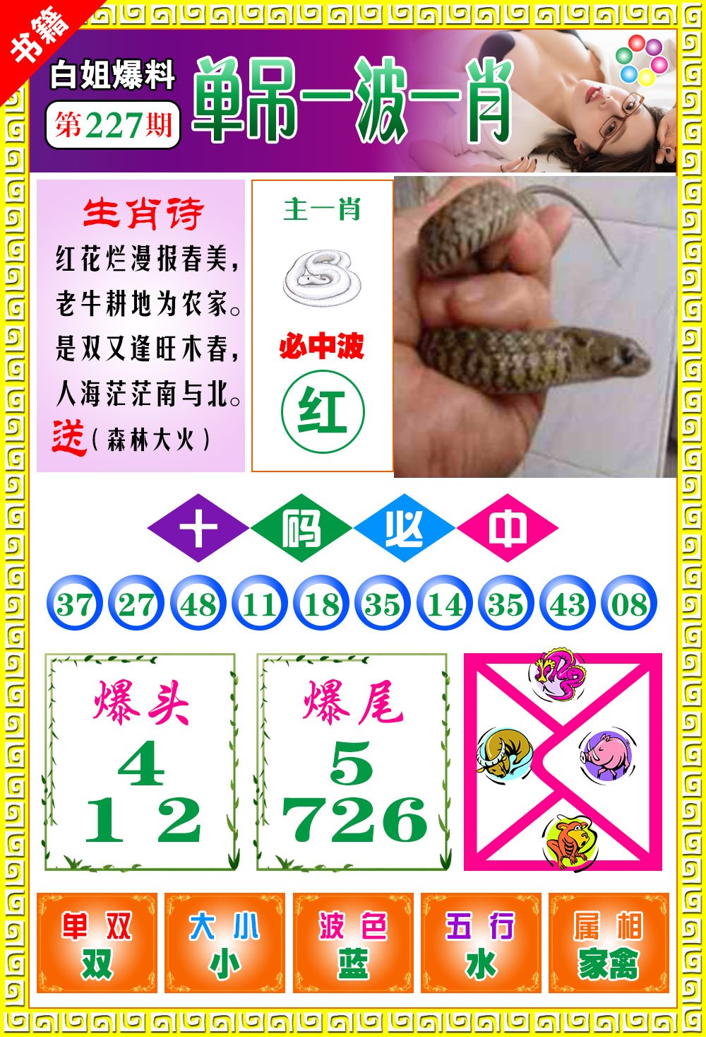 王中王免費(fèi)開獎(jiǎng)一肖結(jié)果，揭秘彩票背后的秘密，揭秘王中王彩票開獎(jiǎng)內(nèi)幕，一肖結(jié)果背后的秘密揭曉