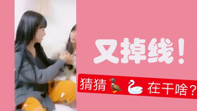 王中王欲錢詩猜一肖，王中王欲錢詩暗示的生肖之謎