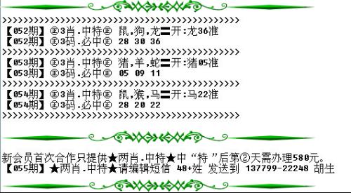 澳門必開一生一肖碼，揭秘背后的秘密與真相，澳門必開一生一肖碼揭秘內(nèi)幕與真相
