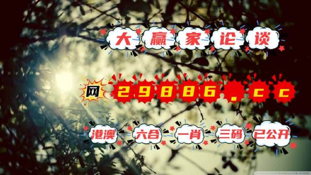澳門今必開一肖一碼，深度解析與探索，澳門生肖一碼深度解析與探索