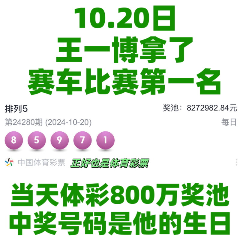 王中王一肖資料中特馬——深度解析與SEO洞察，王中王一肖特馬深度解析與SEO洞察揭秘