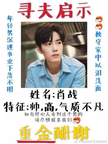 一肖一碼一一肖一子善，探尋命運(yùn)密碼與智慧之光的完美結(jié)合，命運(yùn)密碼與智慧之光，一肖一碼一一肖一子善的探尋