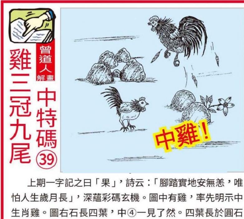 澳門2025全年資料大全正版資料權(quán)威指南，澳門2025全年正版權(quán)威指南，全面資料大全與權(quán)威解讀