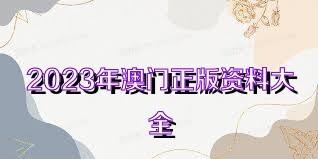 澳門資料大全正版資料查詢，探索澳門的文化與歷史深度之旅，澳門文化與歷史深度探索，正版資料大全及查詢指南