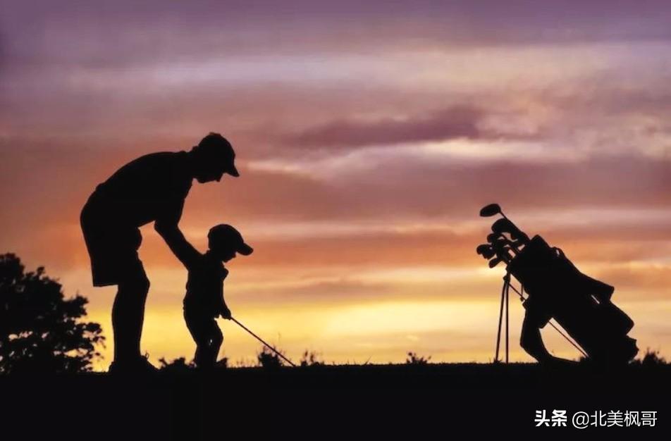森林高手王中王與神秘生肖——深度解讀背后的故事與秘密，森林高手王中王與神秘生肖，故事背后的深度解讀與秘密探尋