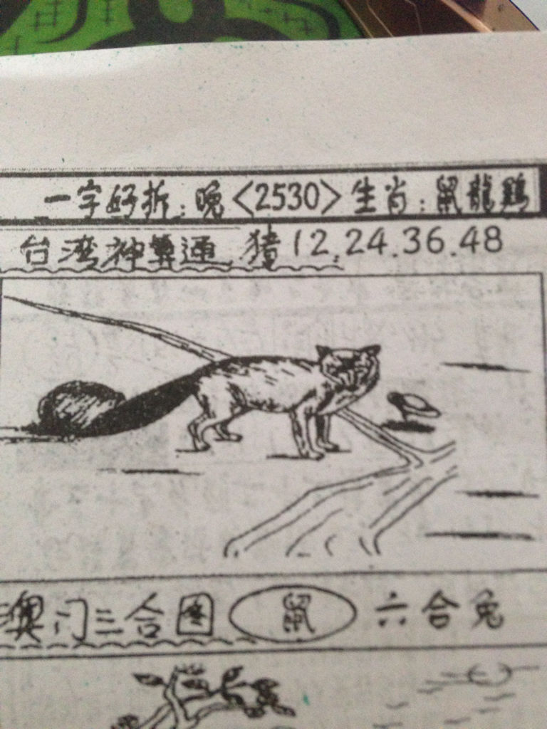 揭秘生肖奧秘，看圖猜一生肖劉伯溫的傳奇故事，揭秘生肖奧秘，劉伯溫傳奇故事中的生肖之謎探索
