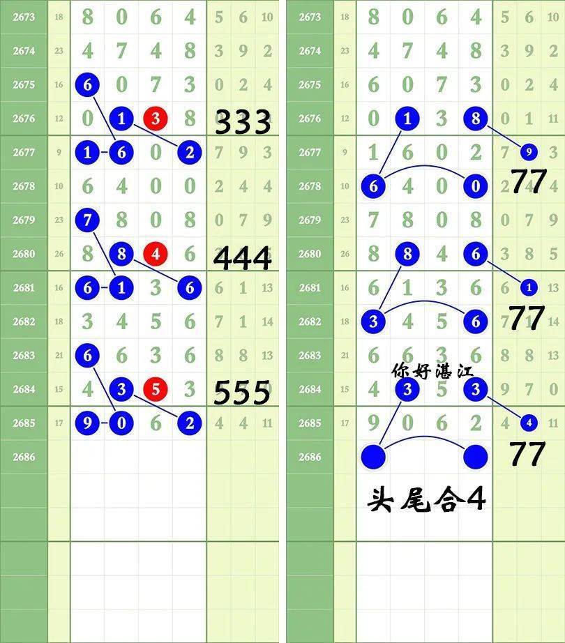 一肖三碼王中王絕密，揭秘背后的秘密與策略洞察，揭秘一肖三碼王中王絕密策略與背后秘密
