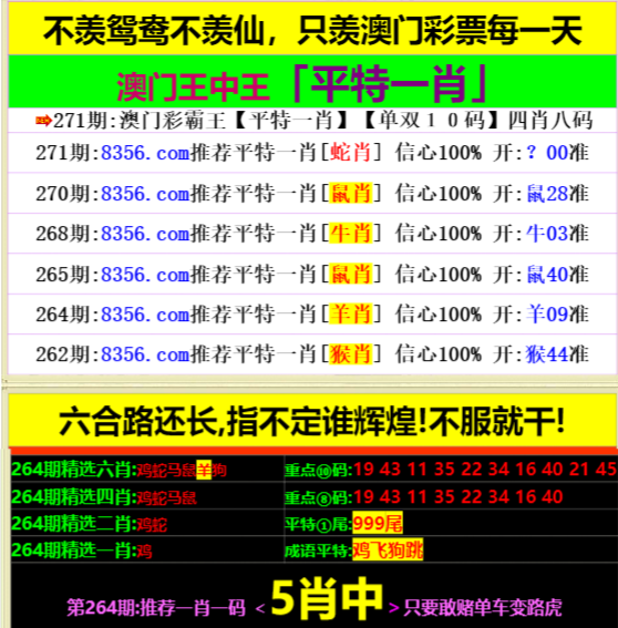 王中王資料一肖中特，深度解析與SEO優(yōu)化策略，王中王資料一肖中特深度解析與SEO優(yōu)化策略指南