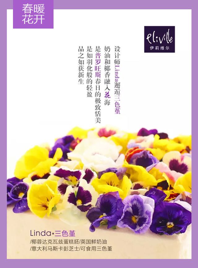 王中王339期指一生肖——探尋背后的秘密與玄機，探尋王中王339期生肖背后的秘密與玄機