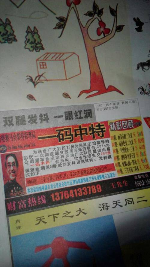 欲錢詩(shī)猜一肖——探尋王中王的奧秘，探尋王中王的奧秘，欲錢詩(shī)猜一肖