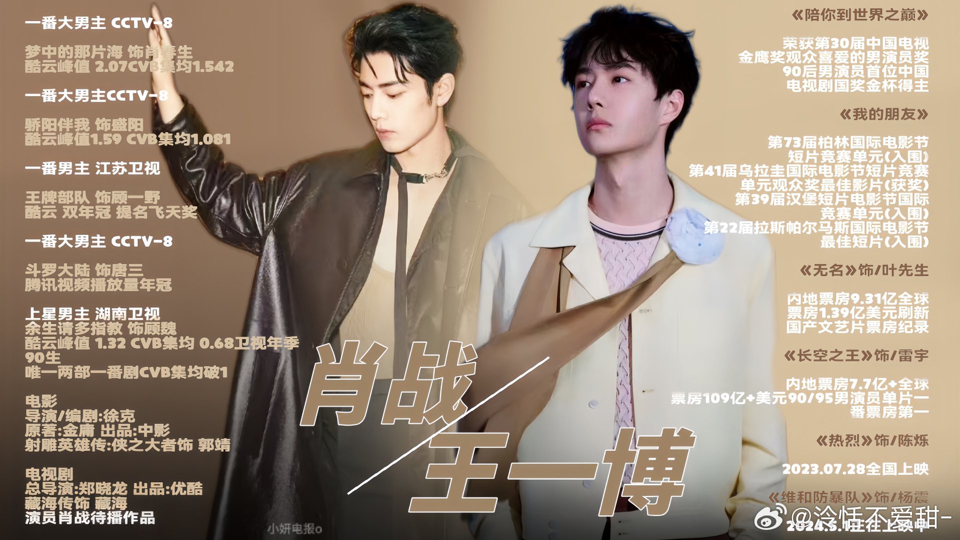 王中王一肖中特全年資料解析與SEO優(yōu)化策略，王中王一肖中特全年資料解析與SEO策略詳解