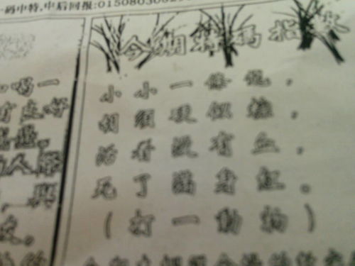 揭秘劉伯溫的一肖一特，探尋神秘傳奇背后的真相，劉伯溫傳奇揭秘，揭秘生肖之謎與獨特特質(zhì)背后的真相