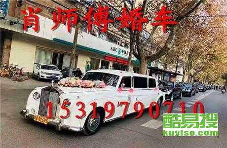 王中王車奪平特一肖免費——深度解析與探索，王中王車奪平特一肖，深度解析與免費探索