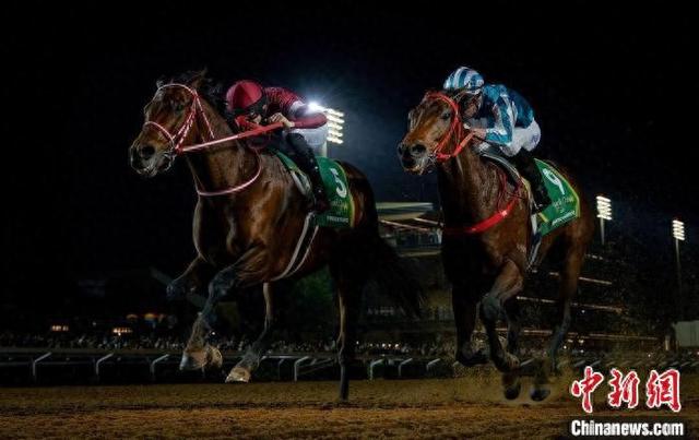 香港王中王一肖中特馬，探索背后的奧秘，香港王中王一肖中特馬背后的奧秘探索