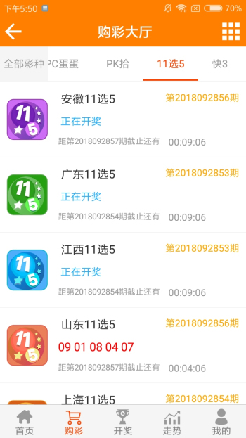 王中王論壇一平特一肖，深度解析與SEO策略，王中王論壇一平特一肖深度解析與SEO策略探討