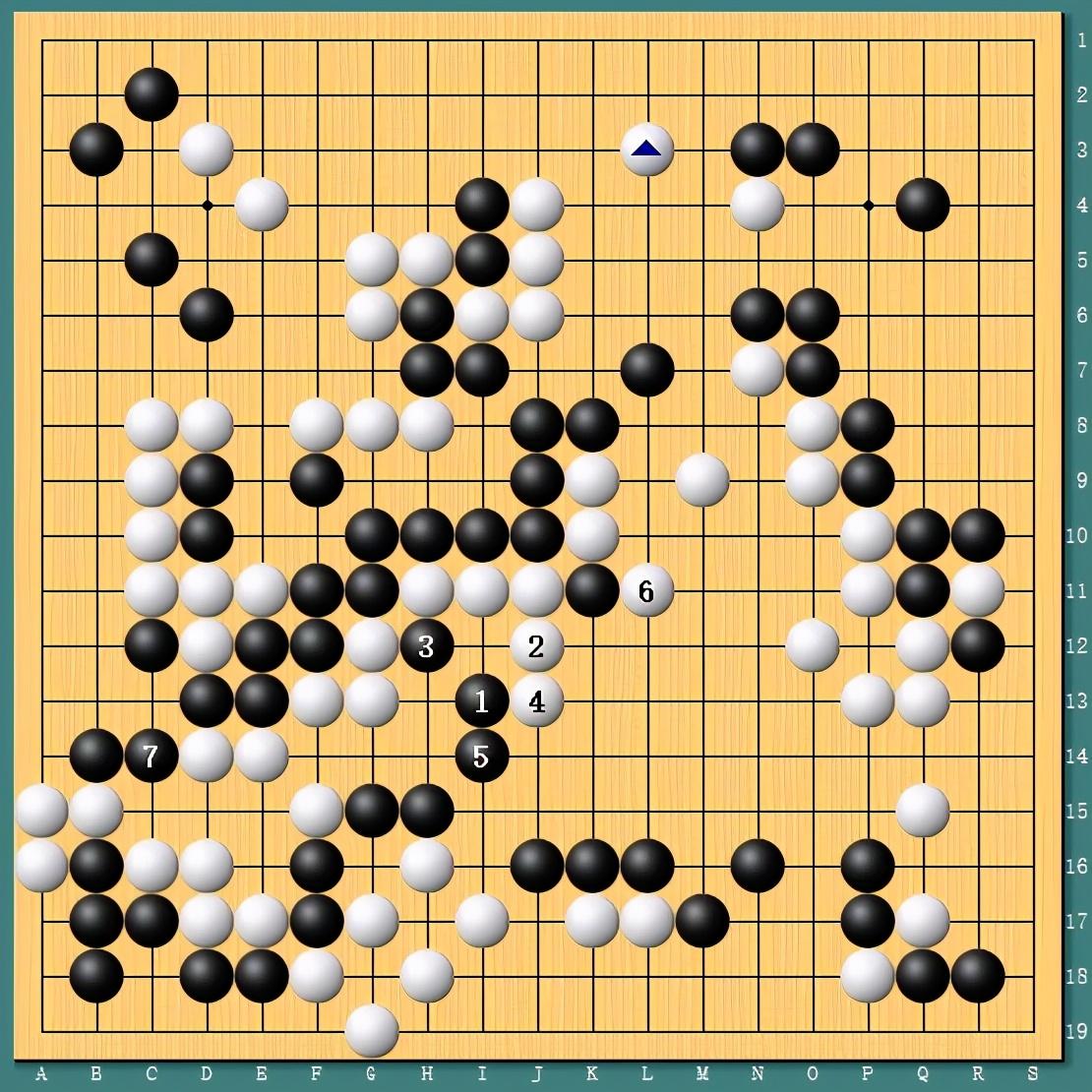 王中王四肖一碼資料論壇，探索與解析，王中王四肖一碼資料論壇，深度探索與解析