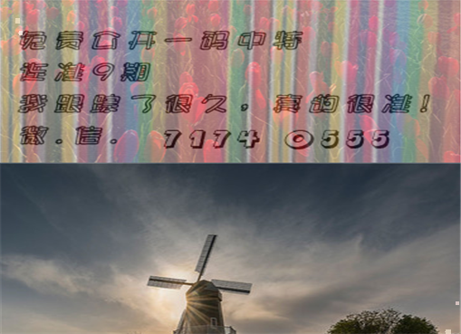 王中王四肖三期必出一期，揭秘彩票背后的秘密策略與技巧，揭秘彩票策略與技巧，王中王四肖三期必出一期之道