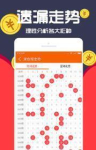 王中王一肖十，深度解析與SEO優(yōu)化策略，王中王一肖十深度解析與SEO優(yōu)化策略探討