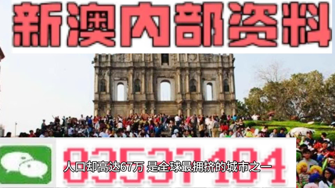 澳門精準免費資料，探索與揭秘，澳門精準免費資料揭秘探索之旅