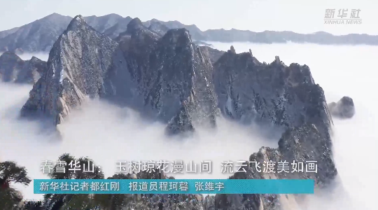 澳門最精準(zhǔn)龍門，探索真正的精準(zhǔn)之道，澳門最精準(zhǔn)龍門，揭秘真正的精準(zhǔn)之道