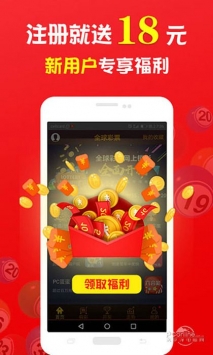 王中王的一肖，探尋背后的奧秘與故事，王中王的一肖，揭秘背后的奧秘與傳奇故事