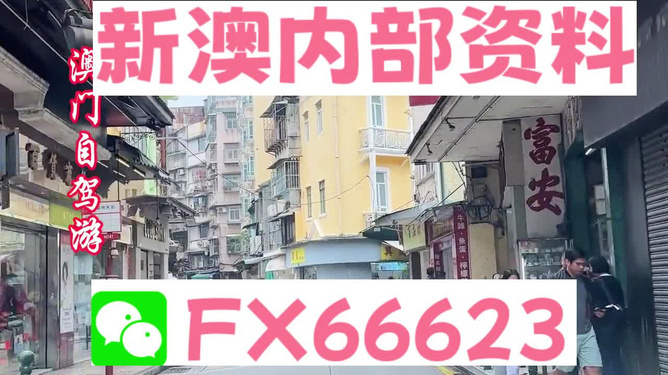 新澳精準(zhǔn)資料免費(fèi)提供，探索與利用資源助力成功，新澳精準(zhǔn)資料免費(fèi)分享，助力成功探索與利用資源