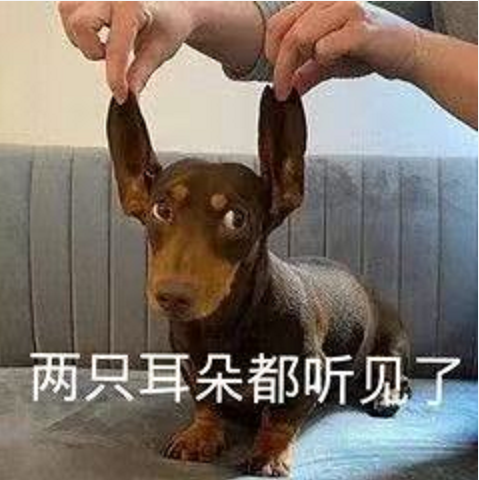 王中王四不象必中一肖，揭秘背后的秘密與策略，揭秘王中王四不象必中一肖背后的秘密與策略之道