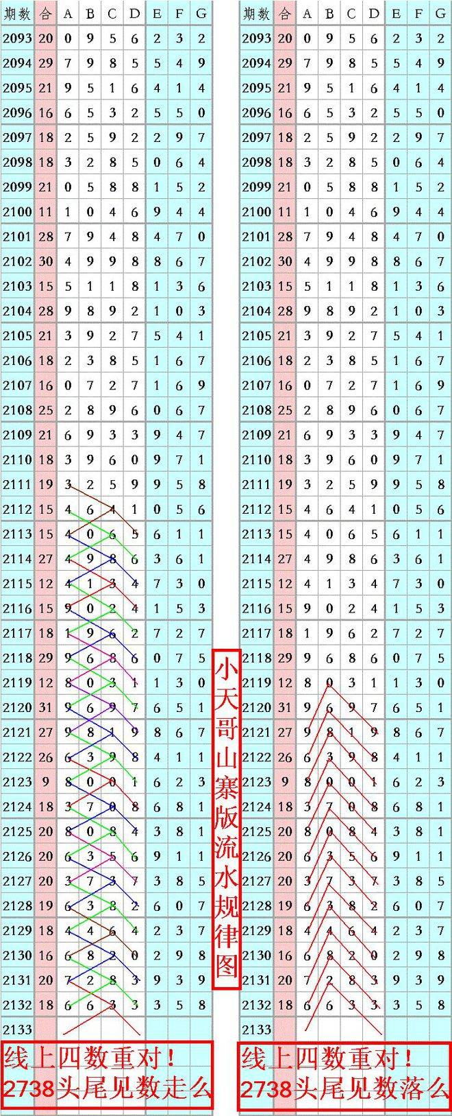 王中王資料一肖正特馬，深度解析與探索，王中王資料一肖正特馬深度解析與探索揭秘