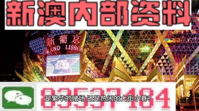 新澳門精準(zhǔn)資料大全與管家婆料，探索SEO的奧秘，探索SEO奧秘，新澳門精準(zhǔn)資料大全與管家婆料的秘密解析