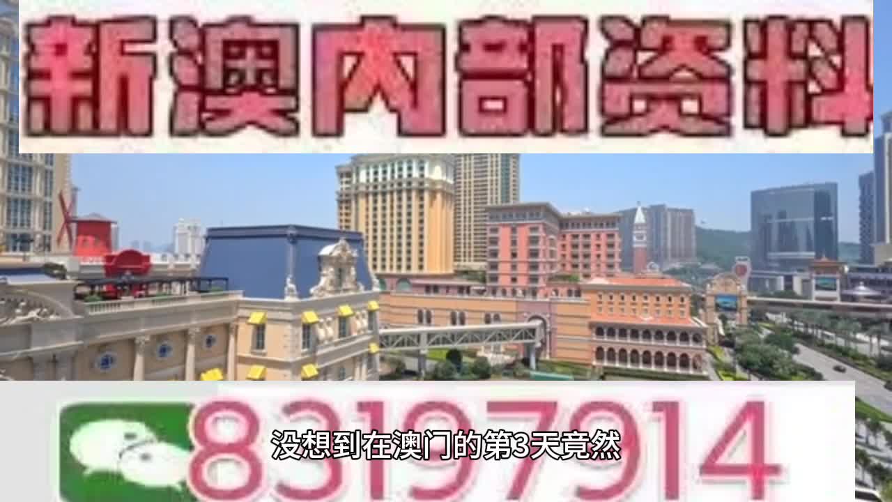 新澳門今晚必開一肖一特，探索生肖與特碼的魅力，澳門生肖特碼探索，今晚必開一肖一特之魅力