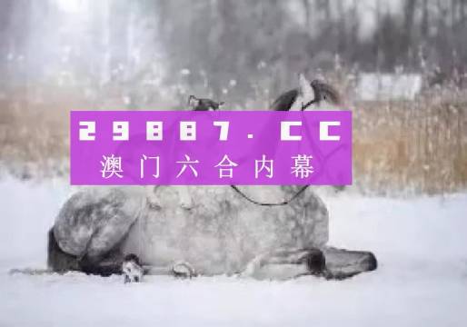 澳門正版精準資料，探索未來的趨勢與機遇（2024年展望），澳門正版精準資料揭秘，未來趨勢與機遇展望（2024年）