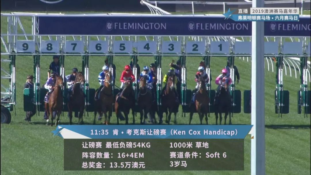 賽馬澳門六月開獎結(jié)果，探索與期待，澳門六月賽馬開獎揭曉，探索結(jié)果引期待