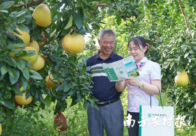 資料大全正版資料2025，一站式獲取所有你需要的信息，資料大全正版資料2025，一站式獲取所有信息總匯