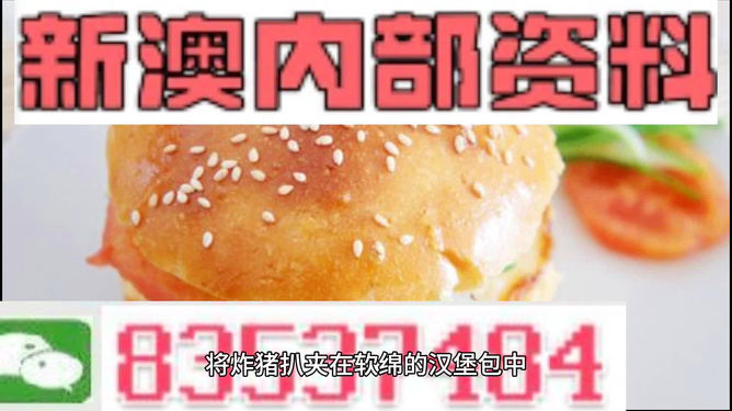 2025新澳正版資料精準(zhǔn)解析，2025新澳正版資料精準(zhǔn)解析手冊(cè)