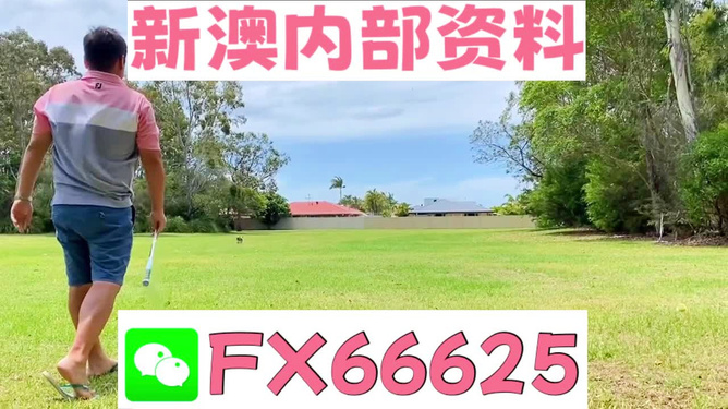 王中王一碼二肖，揭秘背后的秘密，揭秘王中王一碼二肖背后的秘密